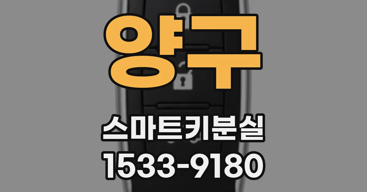양구 스마트키분실
