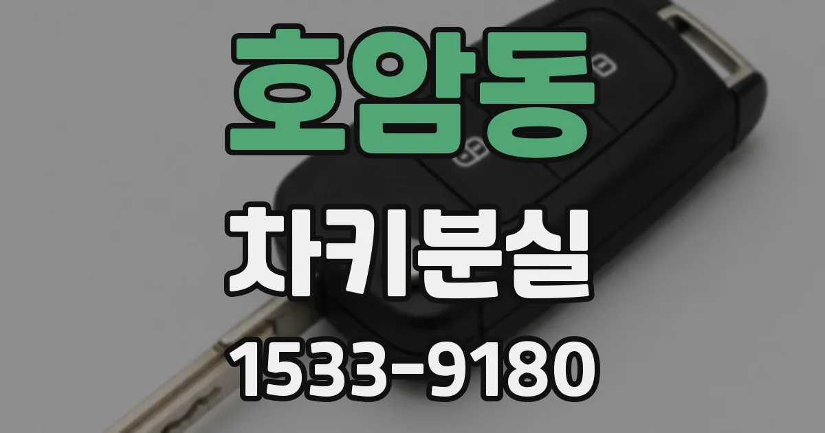 호암동 차키분실