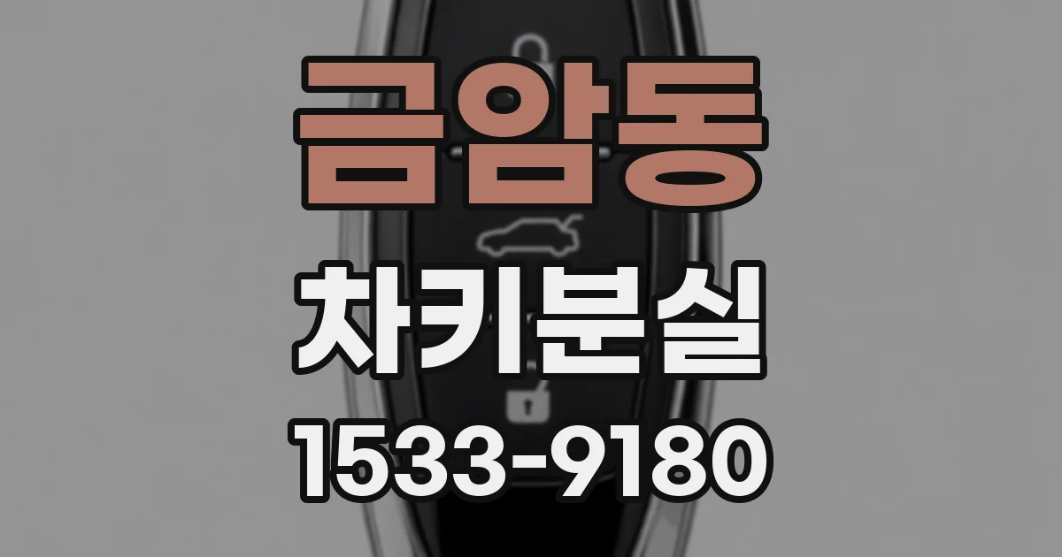 금암동 차키분실