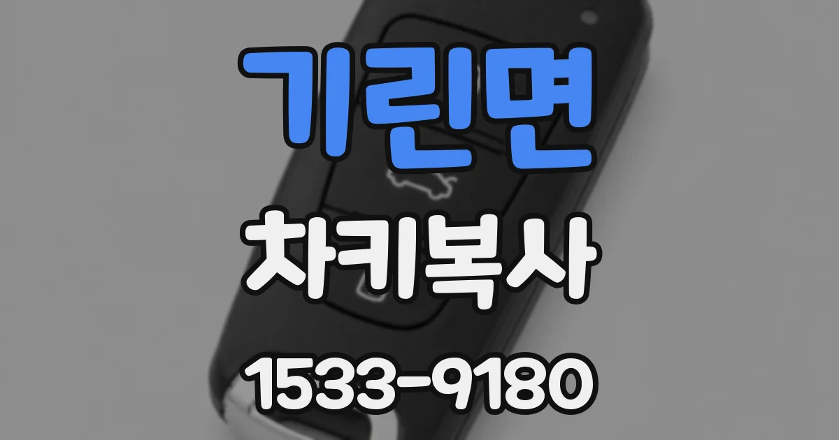 기린면 차키복사