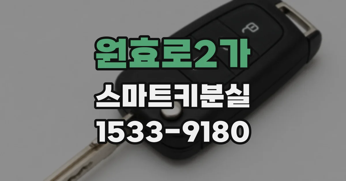 원효로2가 스마트키분실