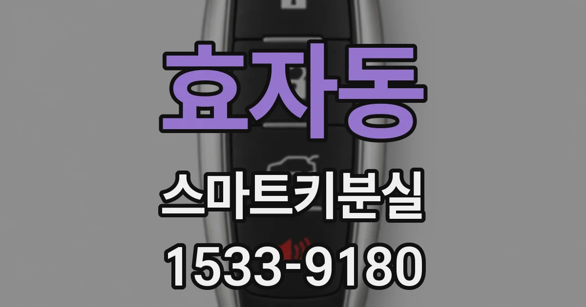 효자동 스마트키분실