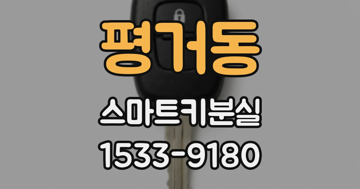 평거동 스마트키분실