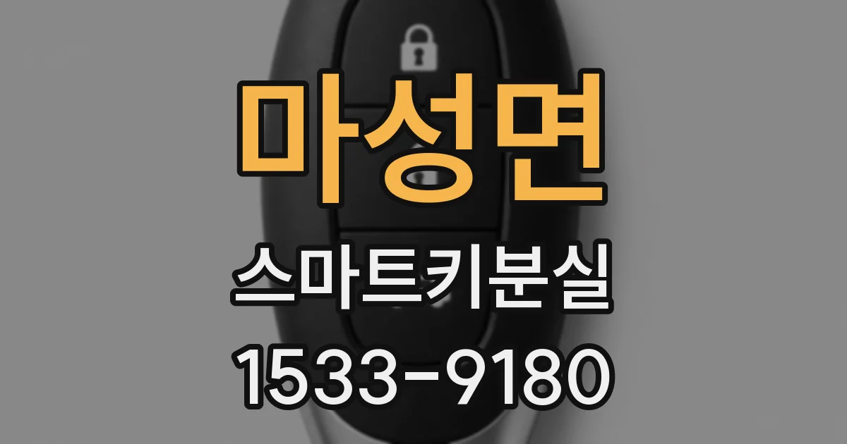 마성면 스마트키분실