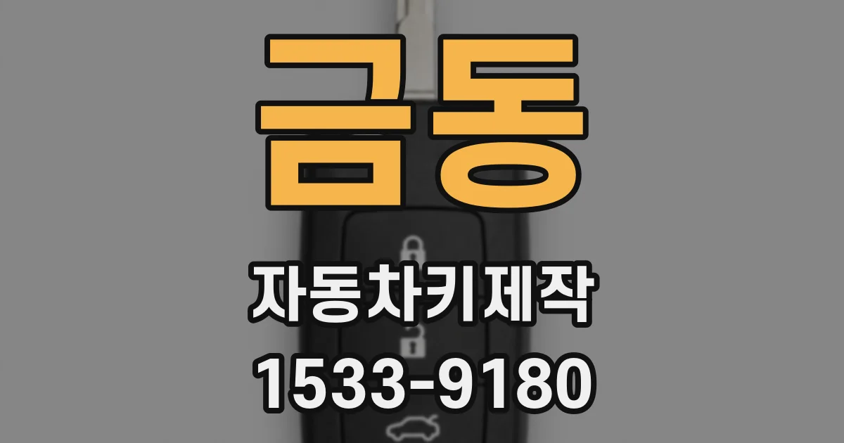 금동 자동차키제작