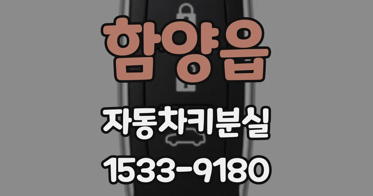 함양읍 자동차키분실