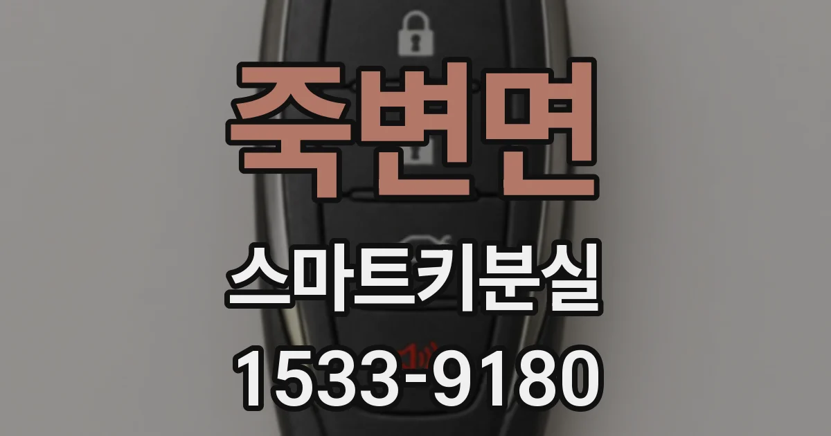 죽변면 스마트키분실