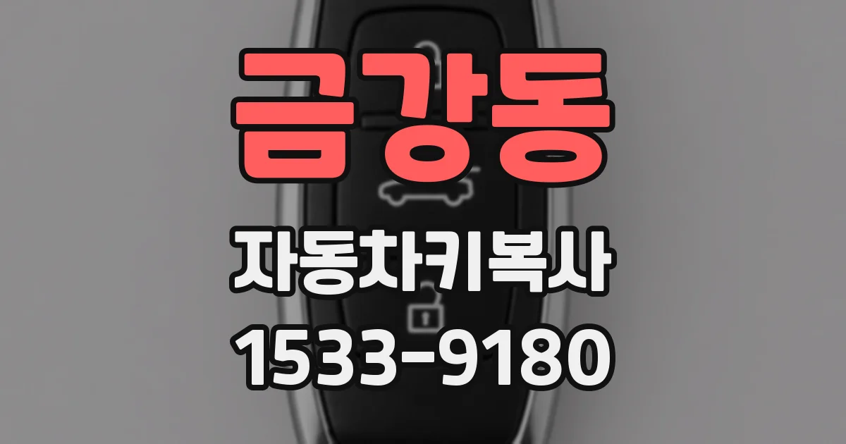 금강동 자동차키복사
