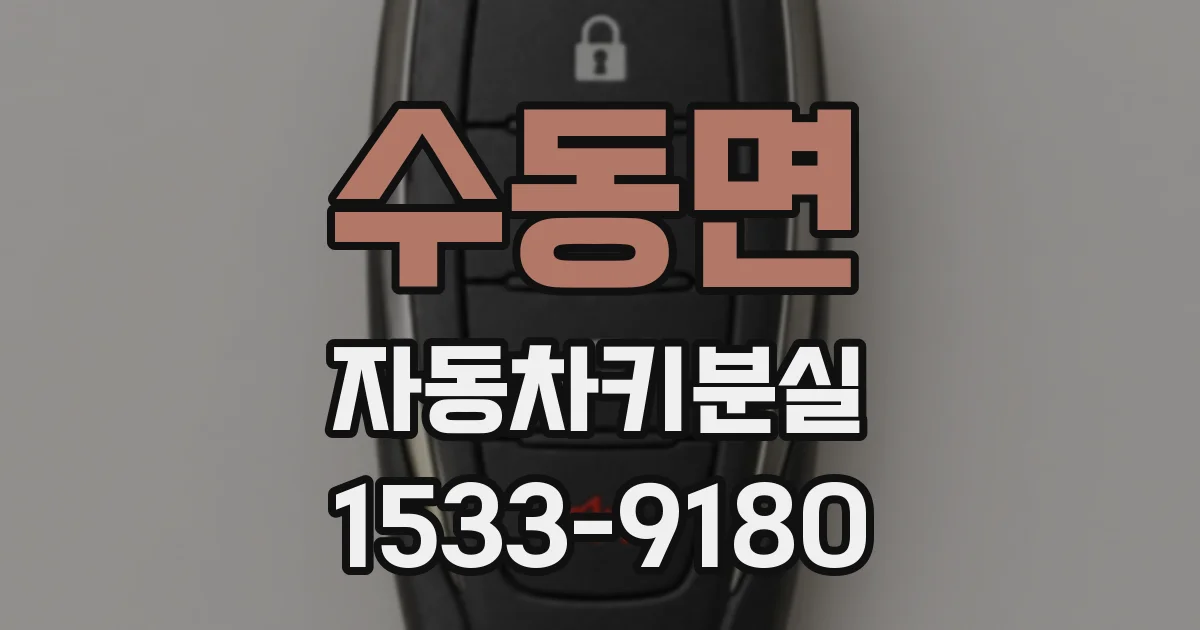 수동면 자동차키분실