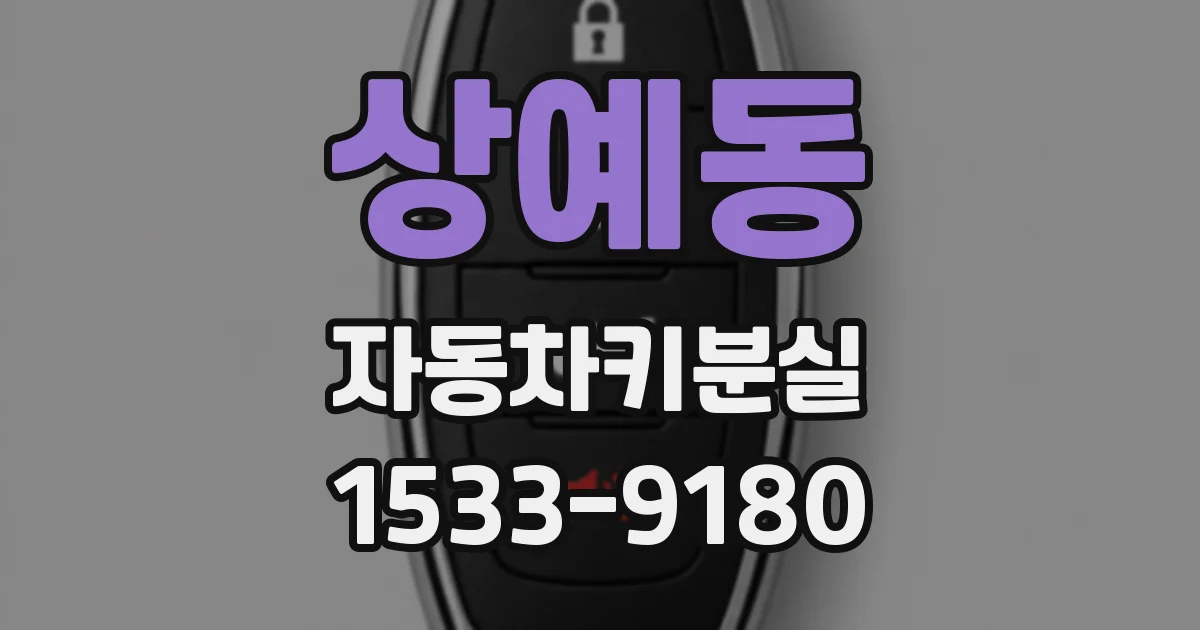 상예동 자동차키분실