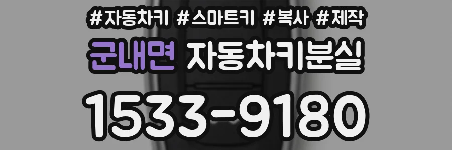 군내면 자동차키분실