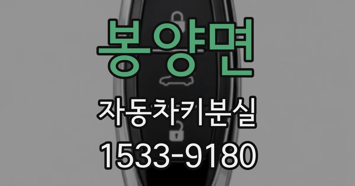 봉양면 자동차키분실