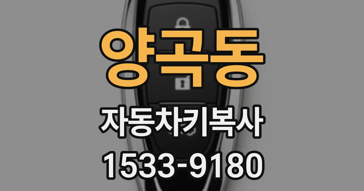 양곡동 자동차키복사