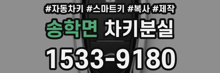 송학면 차키분실