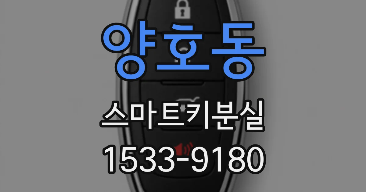 양호동 스마트키분실