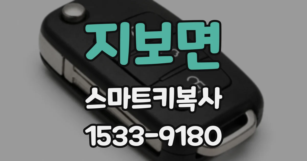 지보면 스마트키복사
