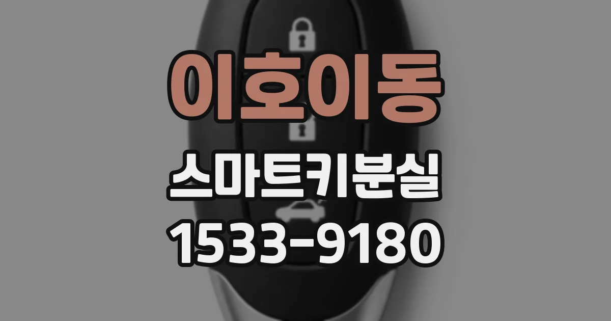 이호이동 스마트키분실