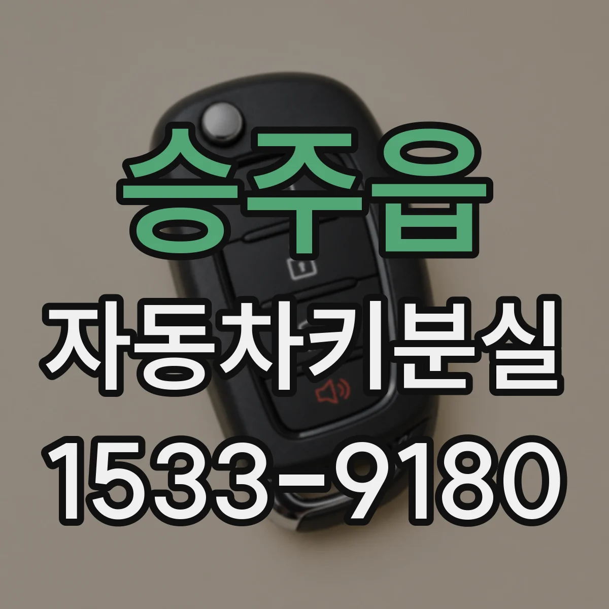 승주읍 자동차키분실