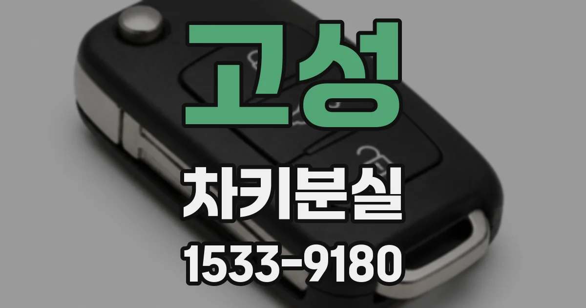 고성 차키분실