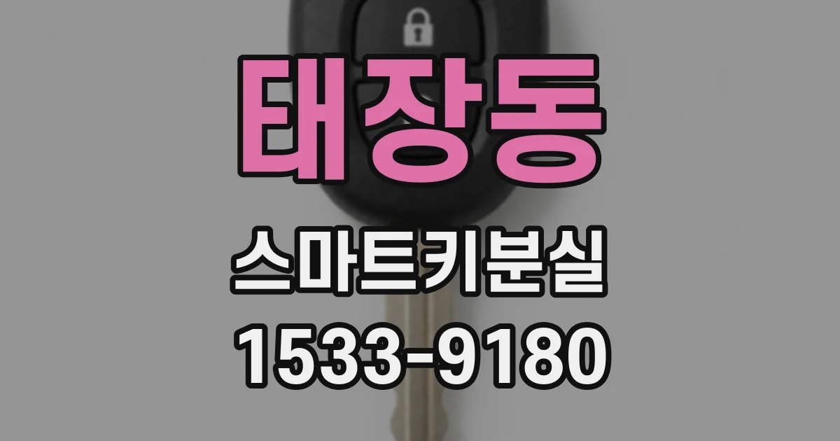 태장동 스마트키분실