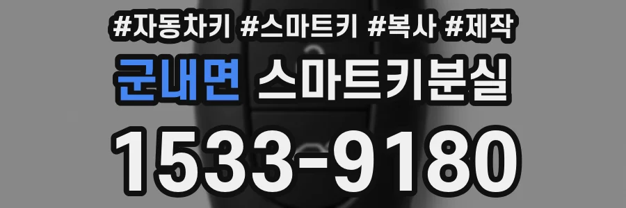 군내면 스마트키분실