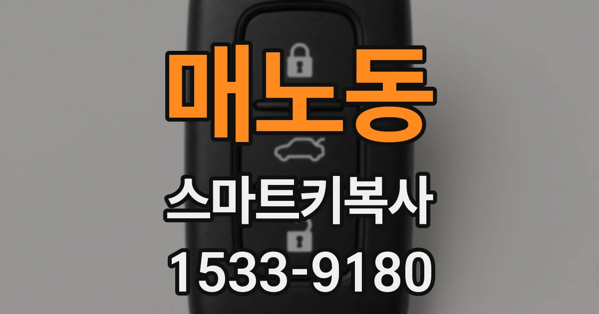 매노동 스마트키복사