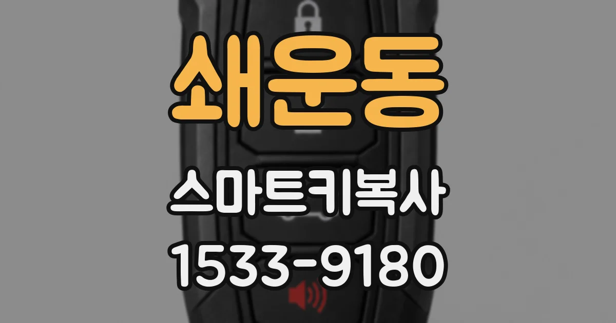 쇄운동 스마트키복사