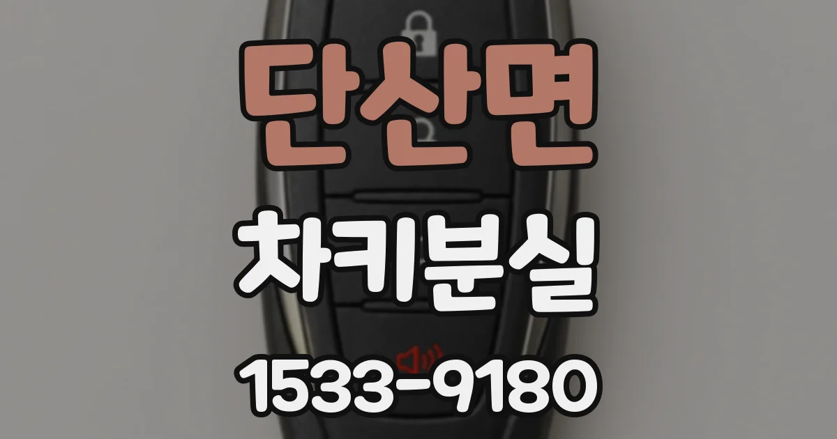 단산면 차키분실