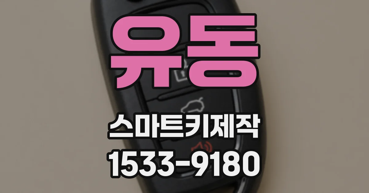 유동 스마트키제작