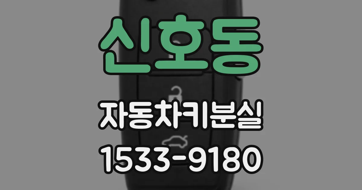 신호동 자동차키분실