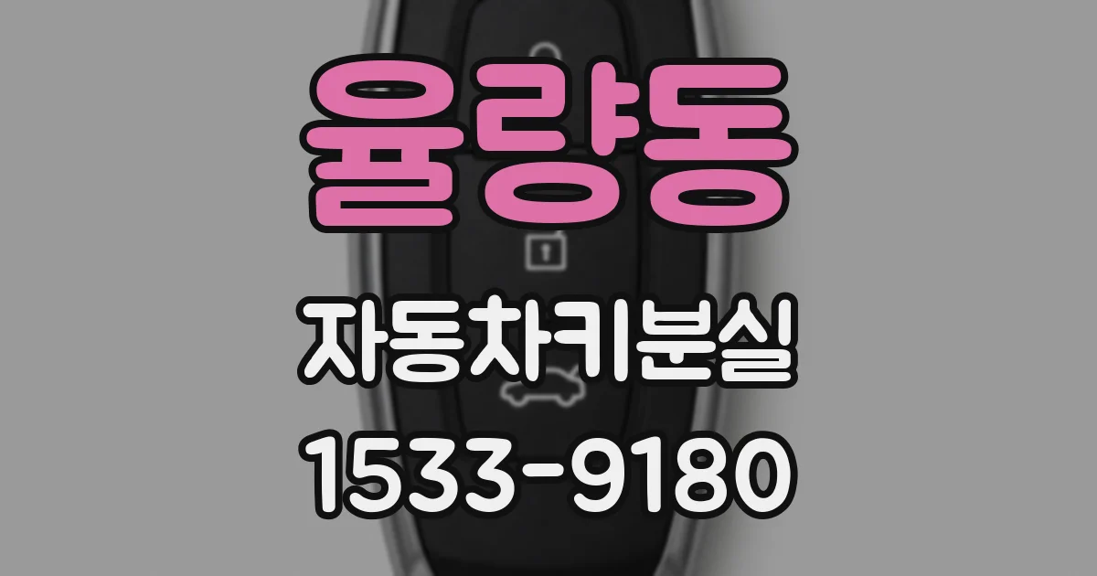 율량동 자동차키분실