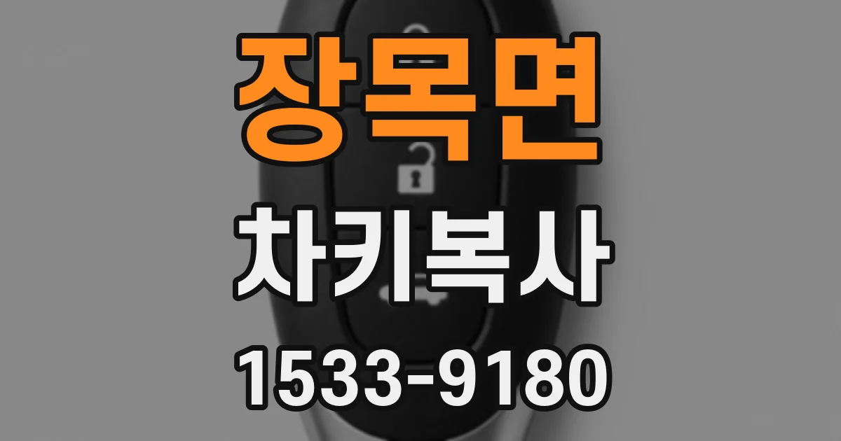 장목면 차키복사