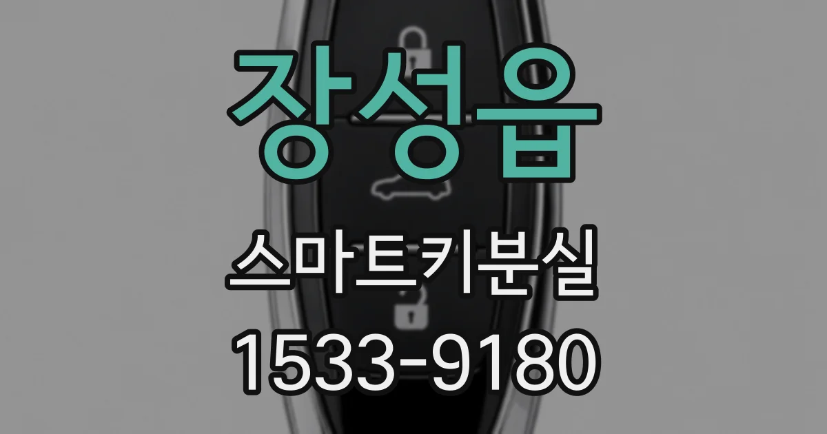 장성읍 스마트키분실