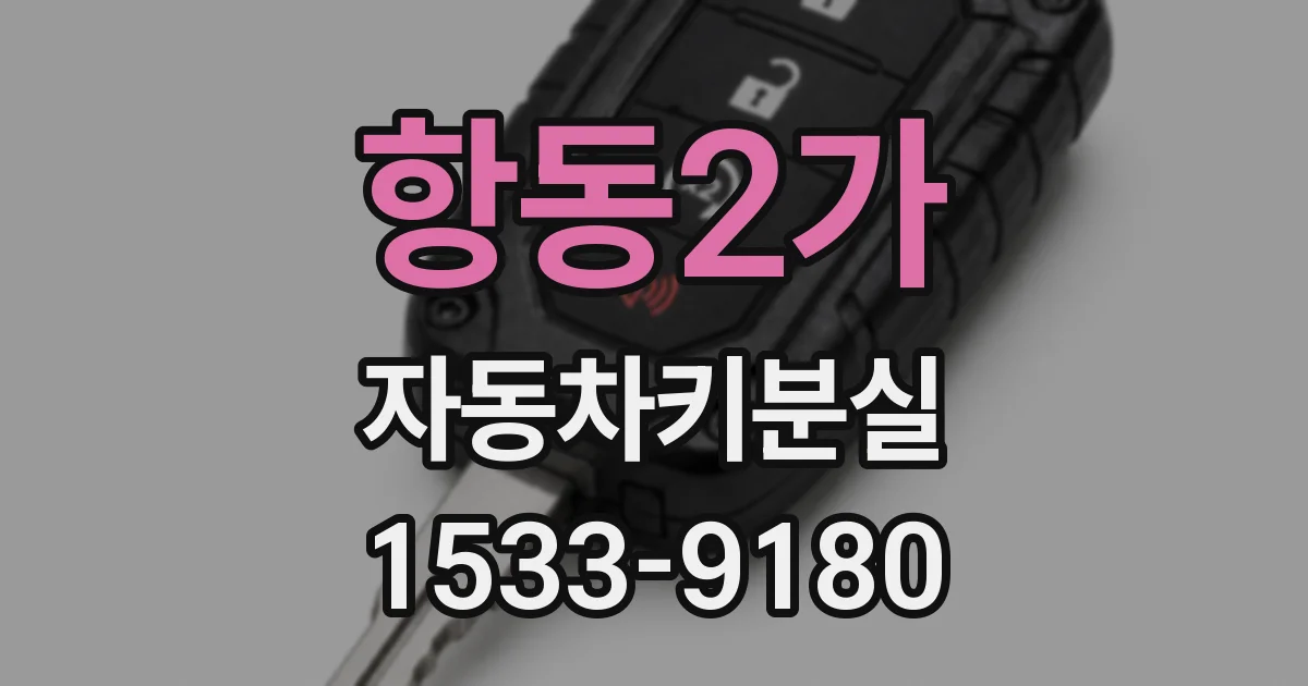 항동2가 자동차키분실