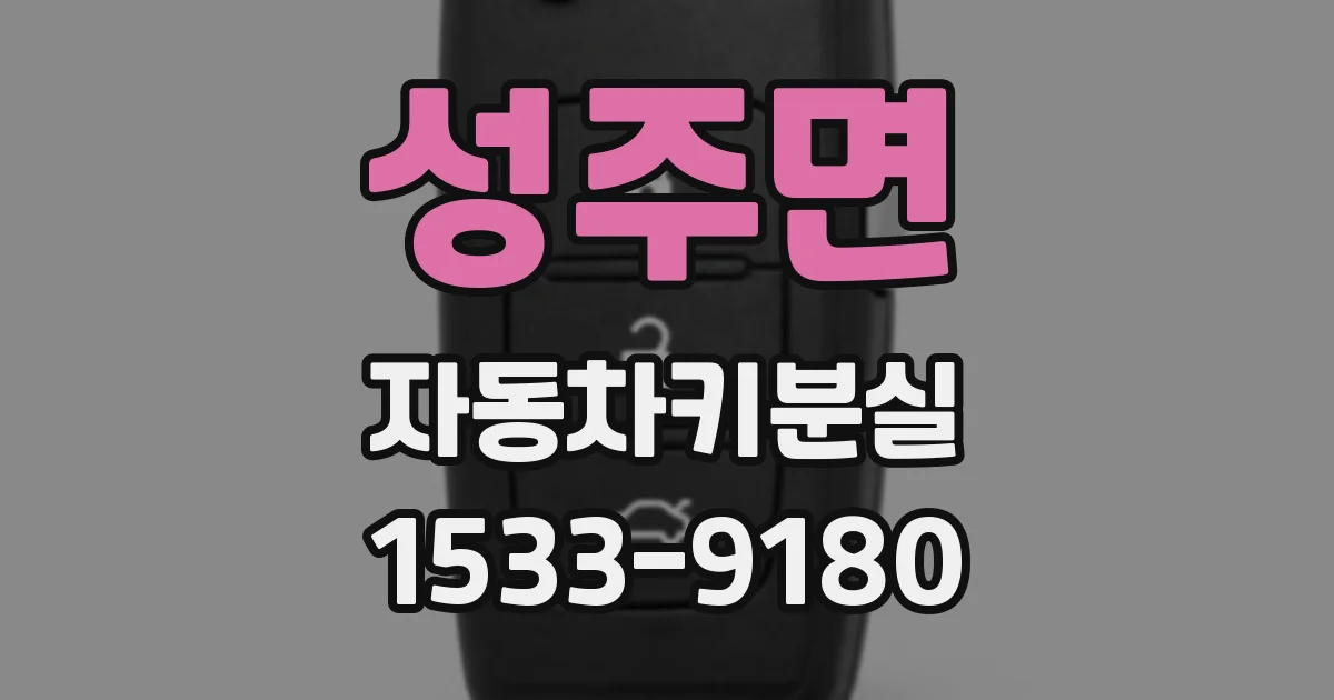 성주면 자동차키분실