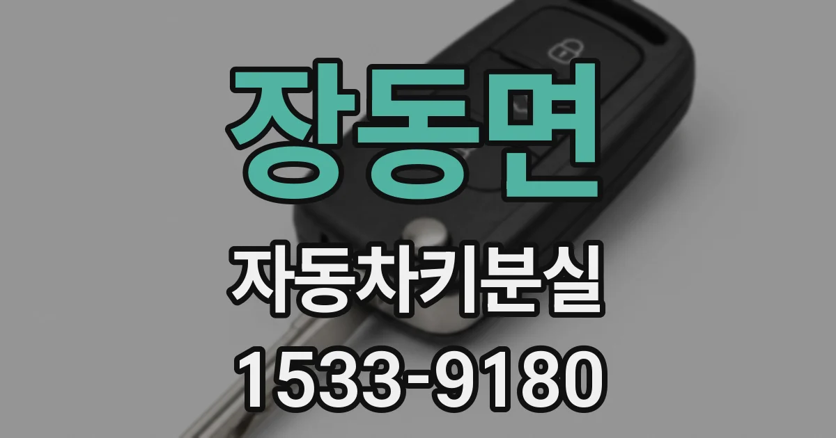 장동면 자동차키분실