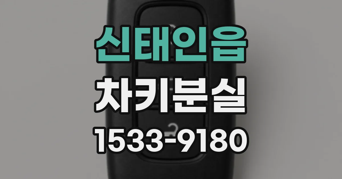 신태인읍 차키분실