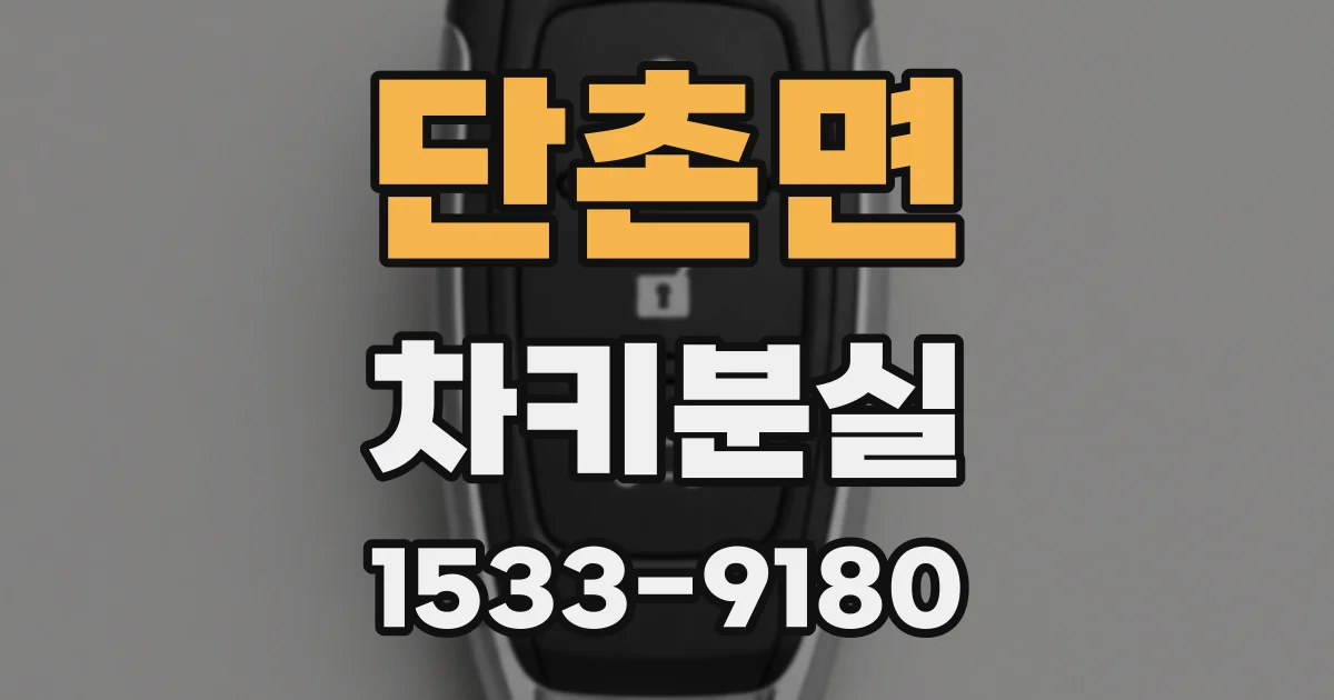 단촌면 차키분실