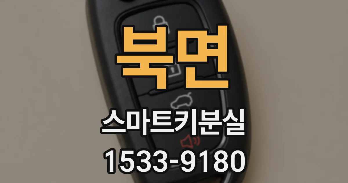 북면 스마트키분실