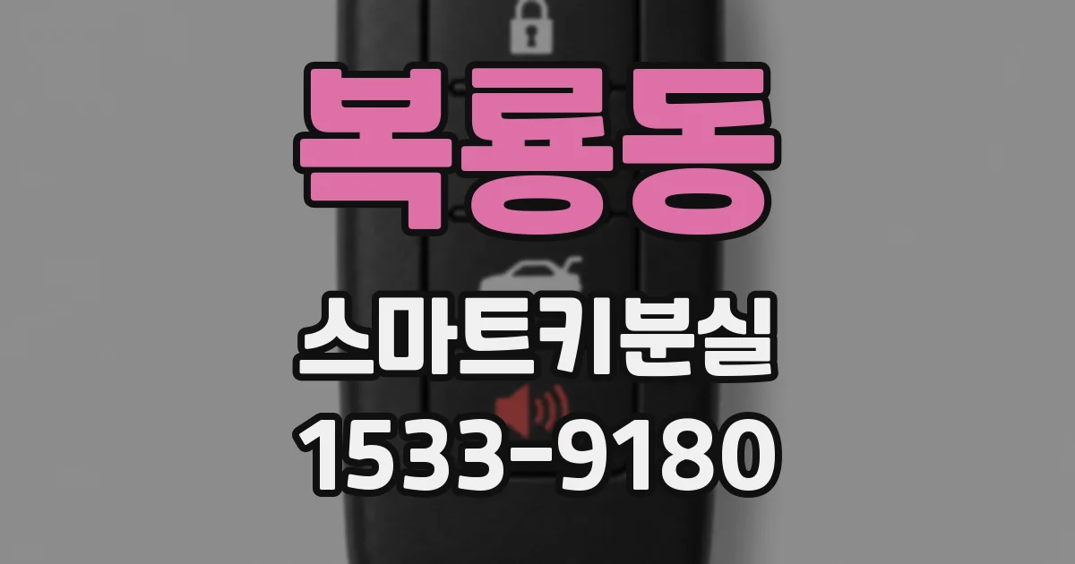 복룡동 스마트키분실