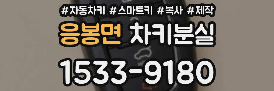응봉면 차키분실