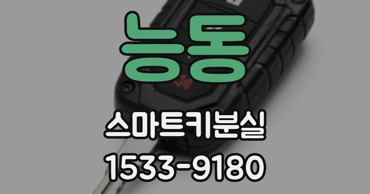 능동 스마트키분실
