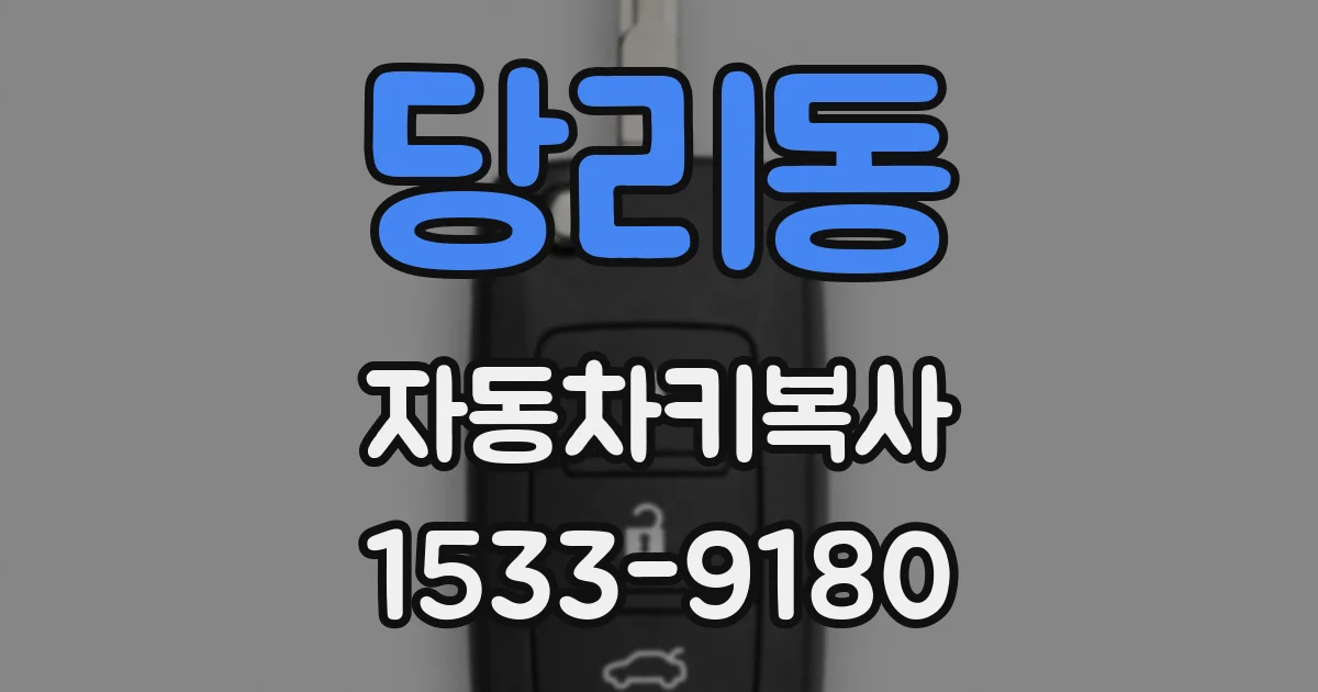 당리동 자동차키복사
