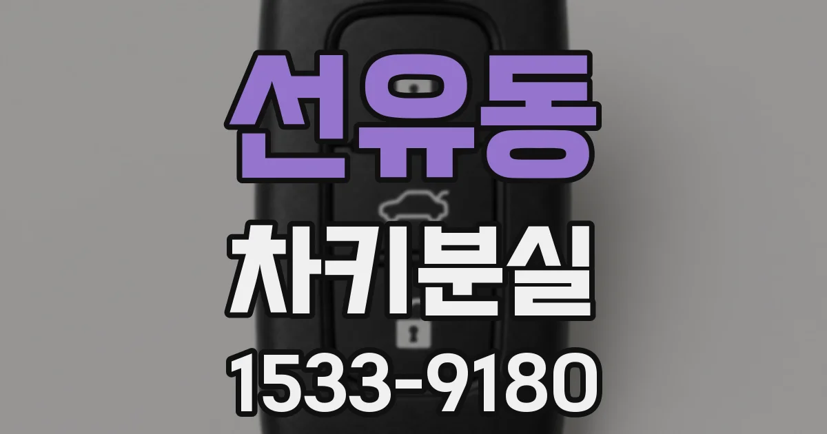 선유동 차키분실