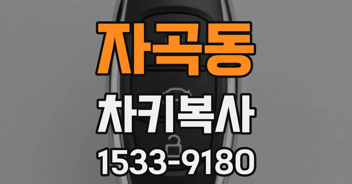 자곡동 차키복사