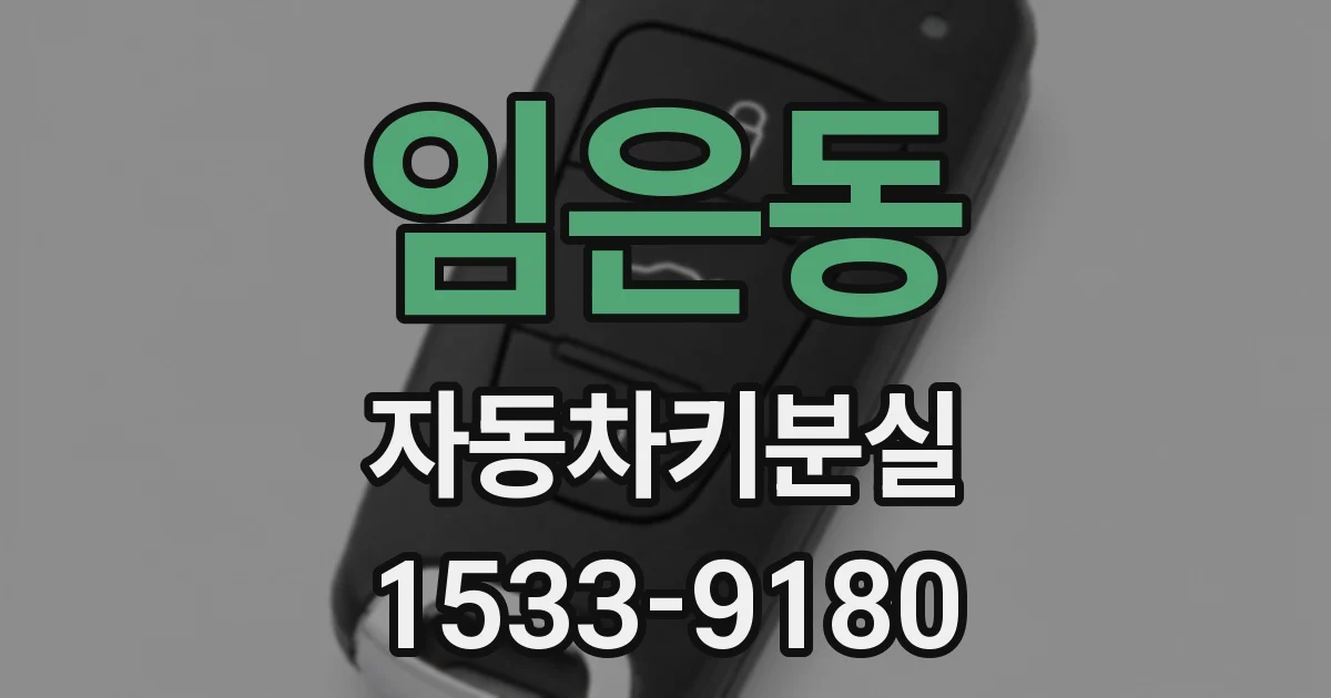 임은동 자동차키분실