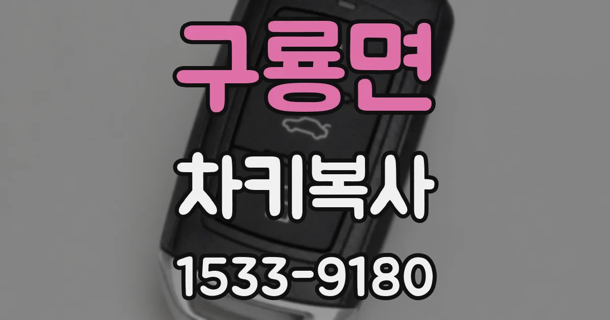 구룡면 차키복사