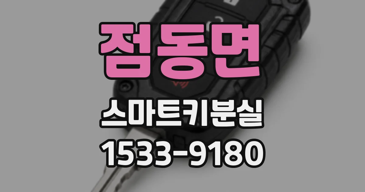 점동면 스마트키분실