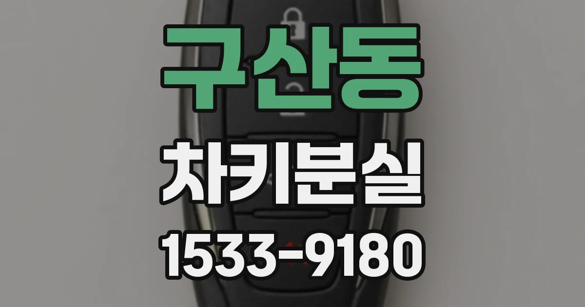 구산동 차키분실