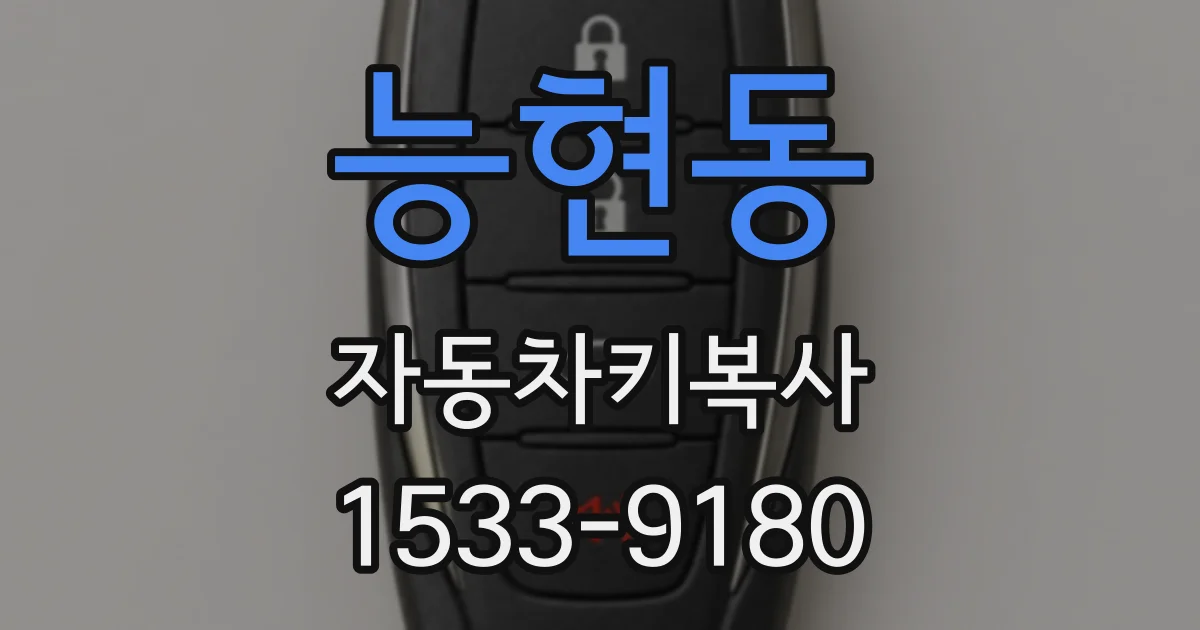 능현동 자동차키복사